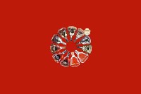 山南市隆子回收红酒